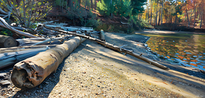 Along The Lake by Bobby Ryan