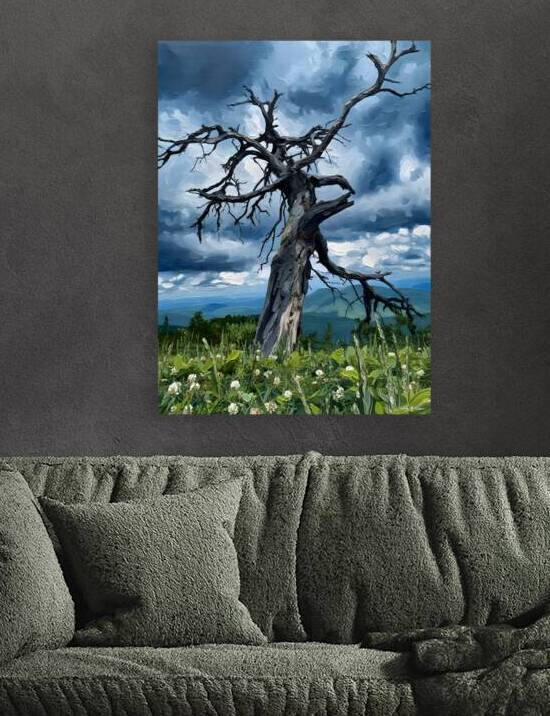 Ghost Valley Tree by Bobby Ryan